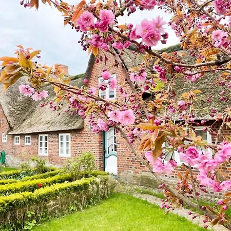 Vakantiehuis Am - Haus Ankerplatz